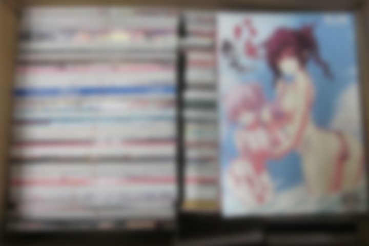 「長野」のお客様より、同人誌・アダルトDVD736点買取させて頂きました