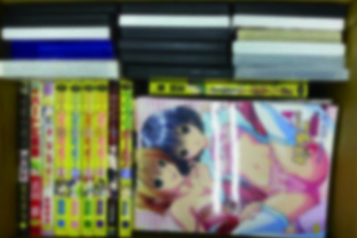 「福岡」のお客様より、成人コミック・同人誌・アダルトPCゲーム61点買取させて頂きました