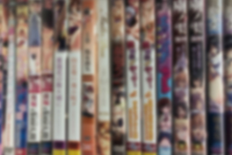 アダルトDVD・同人誌・アダルトアニメ205点