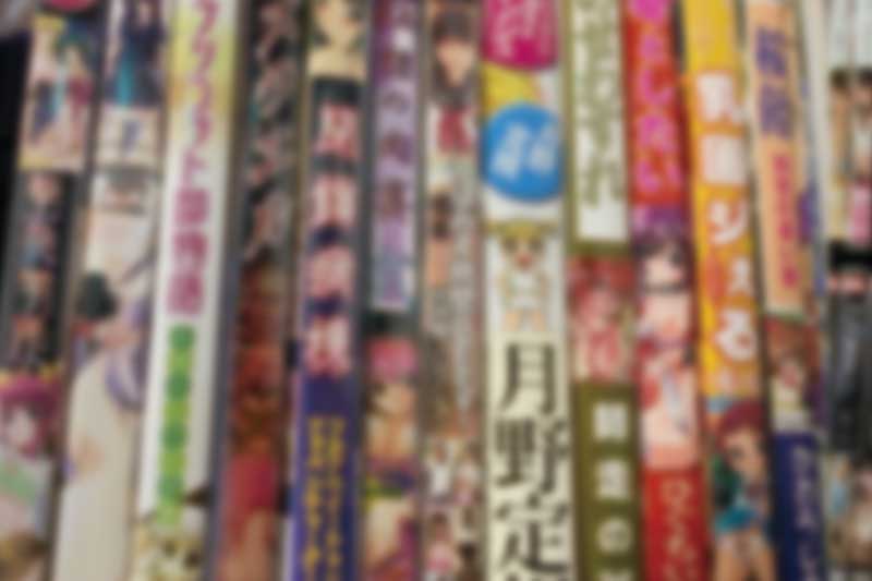 アダルトDVD・成年コミック・同人誌・アダルトPCゲーム109点