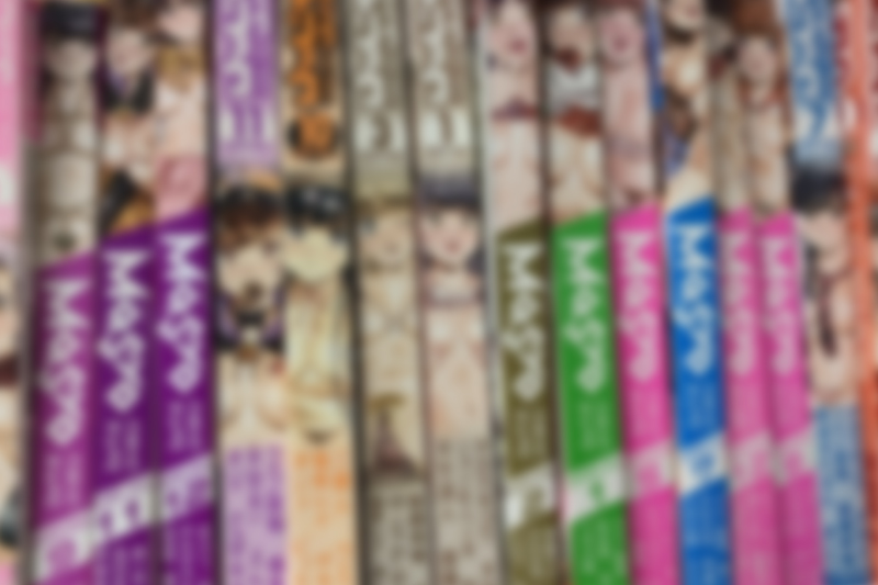 成年コミック・成人コミック雑誌208点