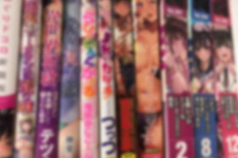 成年コミック・成年コミック雑誌・同人誌176点