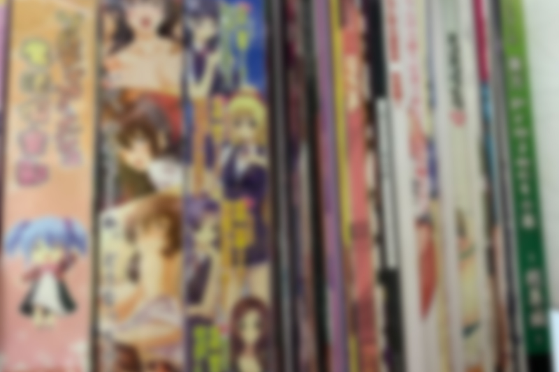 アダルトPCゲーム・同人誌191点