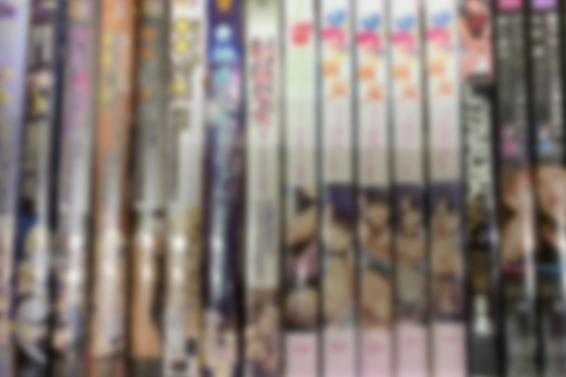 アダルトDVD・アダルトアニメ・同人誌113点